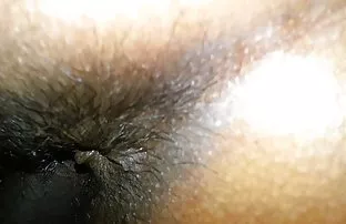XXX مو کوتاه مرد جوان استفان دانلود سکس انال در رختخواب