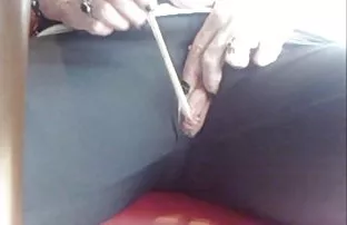 XXX پرشور, سگ ماده, متصل, سامان انال نوجوان بازی به درب توالت و بر روی آن پرید